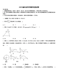 2025届长治市中考数学仿真试卷含解析