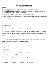 2025年日照市中考数学猜题卷含解析