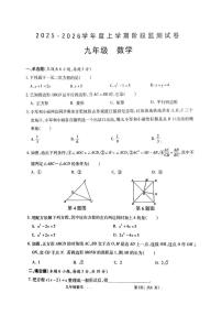 江西省九江市瑞昌市2025-2026学年九年级上学期11月期中数学试题