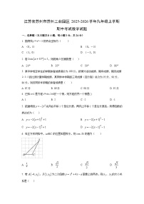 江苏省苏州市苏州工业园区2025-2026学年九年级上学期期中考试数学试卷（学生版）