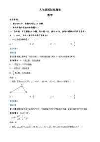 2025年安徽省合肥市长丰县中考一模数学试卷（解析版）-A4