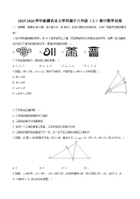 2025-2026学年新疆农业大学附属中八年级（上）期中数学试卷