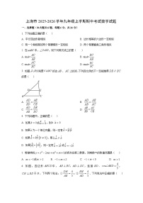上海市2025-2026学年九年级上学期期中考试数学试卷（学生版）