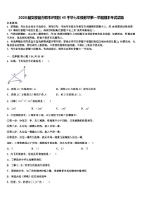 2026届安徽省合肥市庐阳区45中学七年级数学第一学期期末考试试题含解析