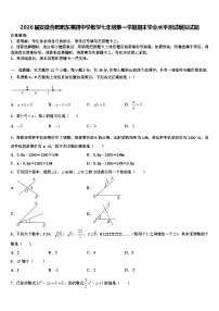2026届安徽合肥肥东第四中学数学七年级第一学期期末学业水平测试模拟试题含解析