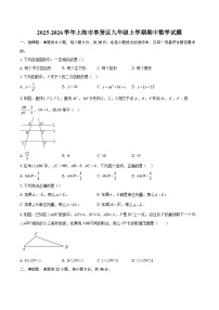 2025-2026学年上海市奉贤区九年级上学期期中数学试题-自定义类型