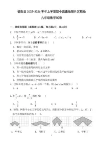 福建省漳州市诏安县2025-2026学年九年级上学期期中考试数学试题