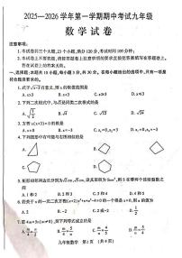 河南省洛阳市嵩县2025-2026学年上学期期中考试九年级数学试题