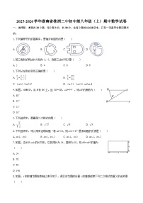 2025-2026学年湖南省株洲二中初中部八年级（上）期中数学试卷-自定义类型