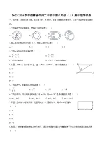 2025-2026学年湖南省株洲二中初中部八年级（上）期中数学试卷-自定义类型
