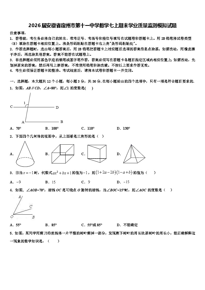 2026届安徽省宿州市第十一中学数学七上期末学业质量监测模拟试题含解析第1页