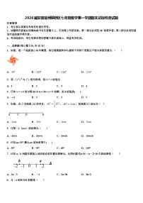 2026届安徽宿州埇桥区七年级数学第一学期期末达标检测试题含解析