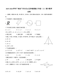2025-2026学年广东省广州市白云区钟落潭镇八年级（上）期中数学试卷
