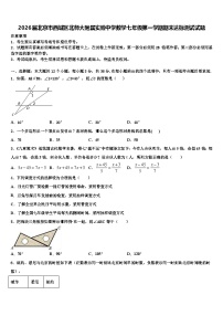 2026届北京市西城区北师大附属实验中学数学七年级第一学期期末达标测试试题含解析