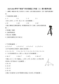 2025-2026学年广东省广州市花都区八年级（上）期中数学试卷