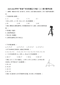 2025-2026学年广东省广州市花都区八年级（上）期中数学试卷