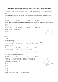 2025-2026学年云南省昆明市嵩明县九年级（上）期中数学试卷