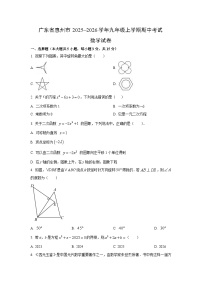 广东省惠州市2025~2026学年九年级上学期期中考试数学试卷（学生版）
