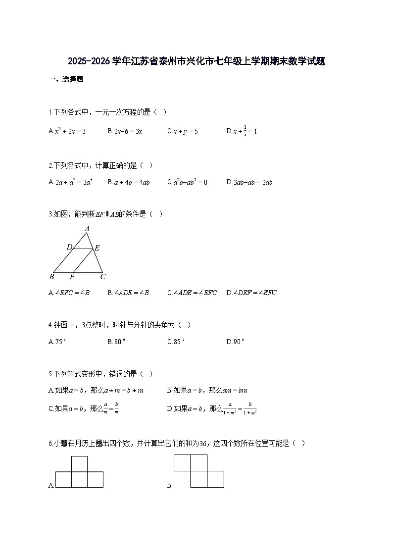 2025_2026学年江苏省泰州市兴化市七年级上册期末数学检测试题-含解析第1页