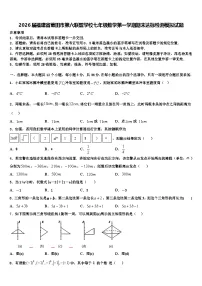 2026届福建省莆田市第六联盟学校七年级数学第一学期期末达标检测模拟试题含解析