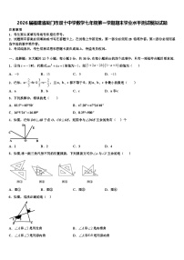 2026届福建省厦门市双十中学数学七年级第一学期期末学业水平测试模拟试题含解析