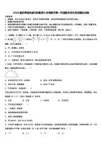 2026届甘肃省武威市民勤县七年级数学第一学期期末综合测试模拟试题含解析