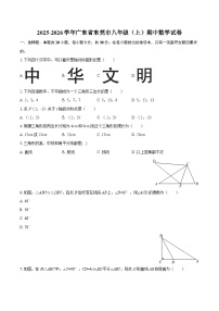 2025-2026学年广东省东莞市八年级(上)期中数学试卷-自定义类型