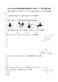 2025-2026学年陕西省榆林市榆阳区八年级(上)期中数学试卷-自定义类型