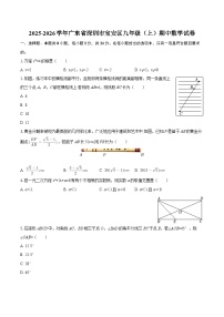 2025-2026学年广东省深圳市宝安区九年级（上）期中数学试卷-自定义类型