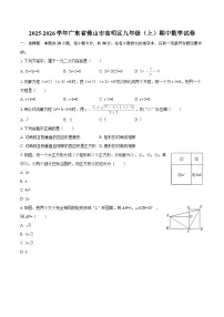 2025-2026学年广东省佛山市高明区九年级（上）期中数学试卷-自定义类型