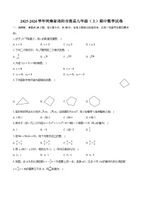 2025-2026学年河南省洛阳市嵩县九年级（上）期中数学试卷