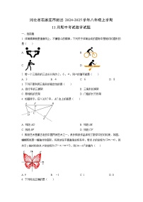 河北省石家庄市赵县2024-2025学年八年级上学期11月期中考试数学试卷(学生版)