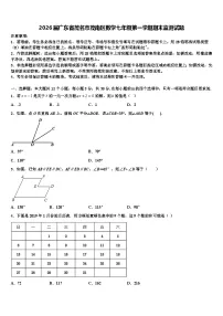 2026届广东省茂名市茂南区数学七年级第一学期期末监测试题含解析