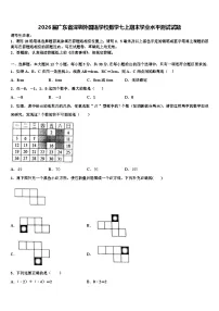 2026届广东省深圳外国语学校数学七上期末学业水平测试试题含解析