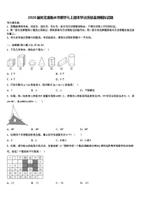 2026届河北省衡水市数学七上期末学业质量监测模拟试题含解析