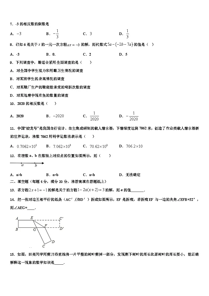 2026届河北省邯郸市名校数学七年级第一学期期末复习检测模拟试题含解析第2页