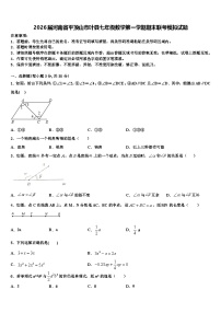 2026届河南省平顶山市叶县七年级数学第一学期期末联考模拟试题含解析