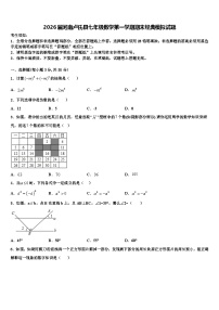 2026届河南卢氏县七年级数学第一学期期末经典模拟试题含解析