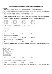 2026届河南省洛阳市新安县七年级数学第一学期期末调研试题含解析