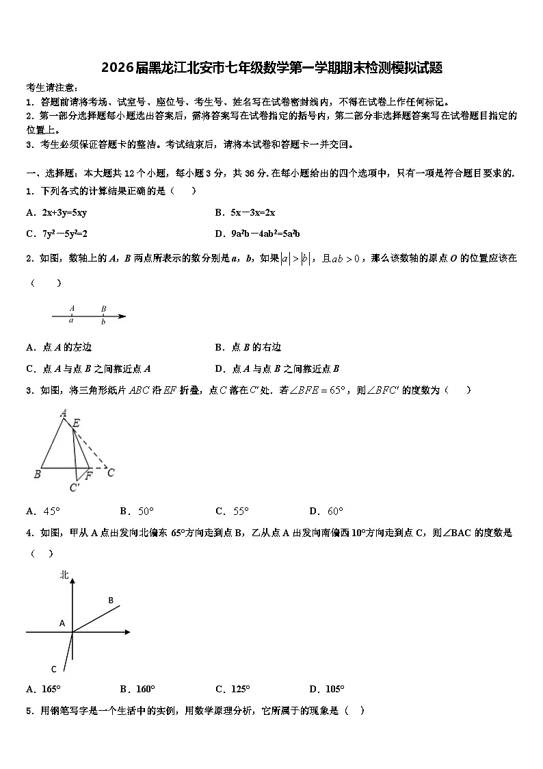 2026届黑龙江北安市七年级数学第一学期期末检测模拟试题含解析第1页