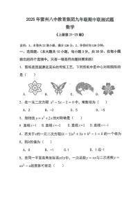 广东省湛江市雷州市2025-2026学年九年级上学期11月期中数学试题