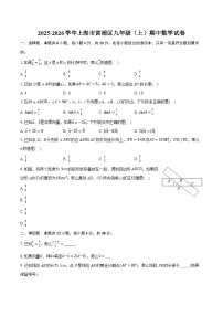 2025-2026学年上海市黄浦区九年级（上）期中数学试卷