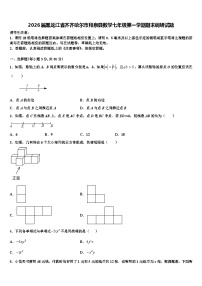 2026届黑龙江省齐齐哈尔市拜泉县数学七年级第一学期期末调研试题含解析