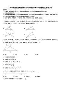 2026届湖北省黄冈实验中学七年级数学第一学期期末复习检测试题含解析