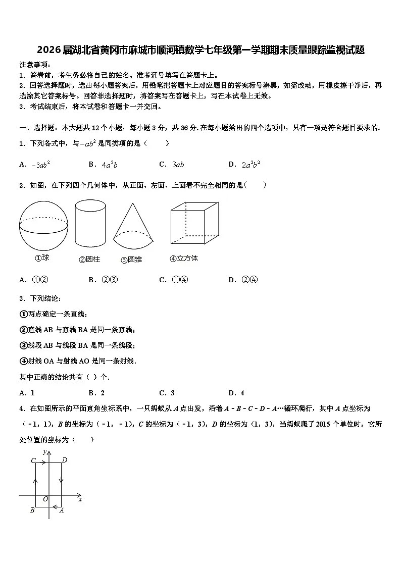 2026届湖北省黄冈市麻城市顺河镇数学七年级第一学期期末质量跟踪监视试题含解析第1页