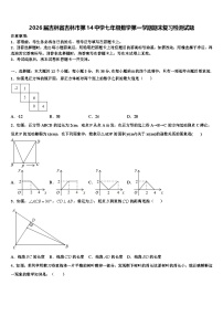 2026届吉林省吉林市第14中学七年级数学第一学期期末复习检测试题含解析