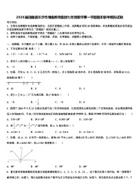 2026届湖南省长沙市周南教育集团七年级数学第一学期期末联考模拟试题含解析
