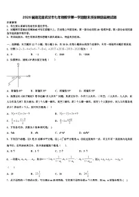 2026届湖北省武汉市七年级数学第一学期期末质量跟踪监视试题含解析
