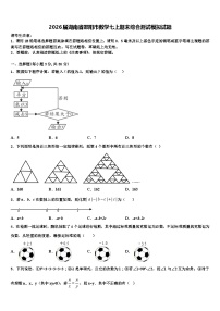2026届湖南省邵阳市数学七上期末综合测试模拟试题含解析