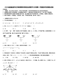 2026届湖南省怀化市靖州苗族侗族自治县数学七年级第一学期期末检测模拟试题含解析